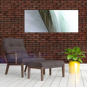 Tablou - Pene, macro (120x50 cm)