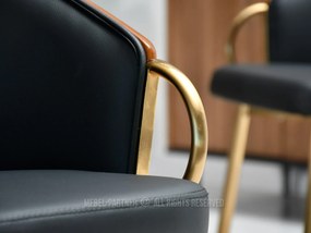 Scaun Elviria K (nuc închis + auriu). 1111041