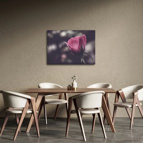 Tablou - Detaliu florii de trandafir (70x50 cm)