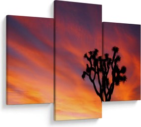 Tablou apus de soare deasupra siluetei unui copac (90x60 cm)