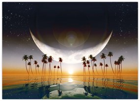 Tablou- Luna deasupra palmierilor (70x50 cm)