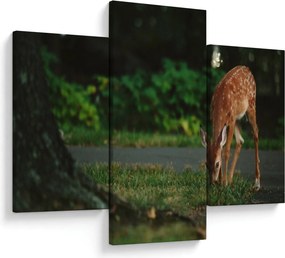 Tablou cu pui de cerb (90x60 cm)