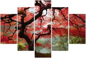 Tablou - Arțarul japonez roșu, Portland, Oregon (150x105 cm)