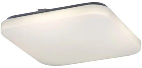 Rabalux 2287 - Plafonieră LED ROB 1xLED/32W/230V