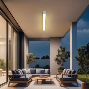 Brilagi - Plafonieră LED pentru baie SLEEKLINE LED/40W/230V, argintie, IP44