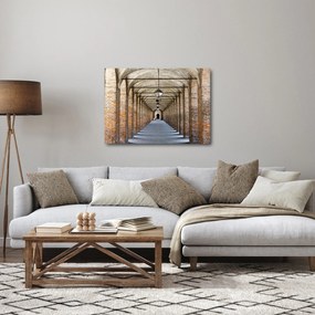 Tablou - Hol 3D (70x50 cm)