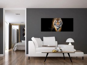 Tablou - Tiger (120x50 cm)