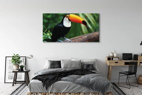 Tablouri canvas Toucan pe o ramură