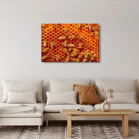 Tablou - Fagure de miere (90x60 cm)