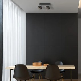 Lampă spot LOGAN 2xE14/40W/230V