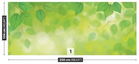 Fototapet Frunze verzi
