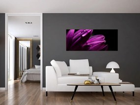 Tablou - Picătura de apă (120x50 cm)