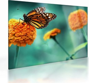 Tablou pe sticlă cu fluture (70x50 cm)