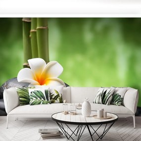 Fototapet Spa flori