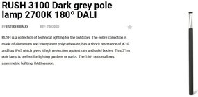 Stalp LED iluminat exterior simetric 180º IP65 RUSH 310cm 2700K DALI