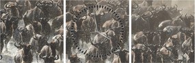 Tablou - Turmă de antilope sălbatice (cu ceas) (90x30 cm)