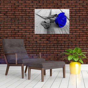 Tablou pe sticlă - Trandafir albastru (70x50 cm)