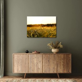 Tablou iarba cu rouă (70x50 cm)