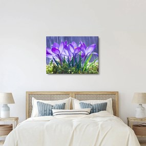 Tablou cuflori în ploaie (70x50 cm)