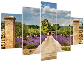 Tablou - Căi de lavandă (150x105 cm)