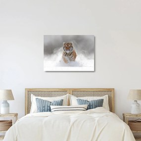 Tablou pe sticlă cutigru fugind prin zăpadă (70x50 cm)