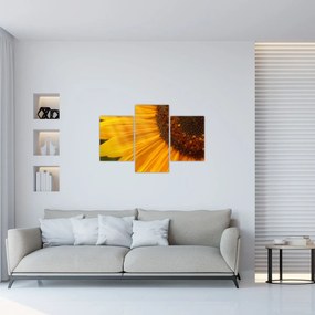 Tablou - Floarea-soarelui (90x60 cm)