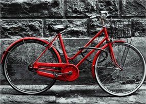 Tablou pe sticlă - Bicicleta istorică (70x50 cm)