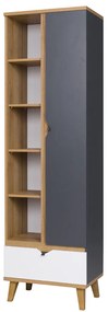 Dulap cu rafturi Mimone R1D1SZ (Stejar auriu + Alb mat + grafit). 1051780