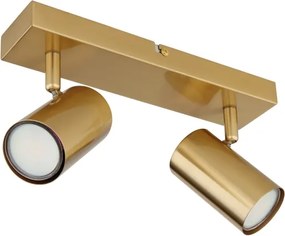 Spot Globo 57911-2GO ROBBY 2xGU10/35W/230V