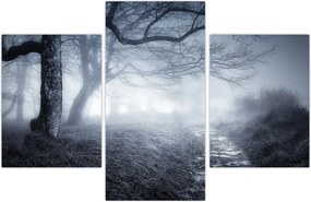 Tablou - Drum pin ceață (90x60 cm)