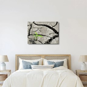 Tablou - Fisuri (70x50 cm)