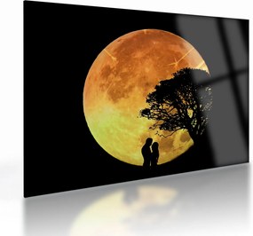Tablou pe sticlă cu umbre în lumina lunii (70x50 cm)