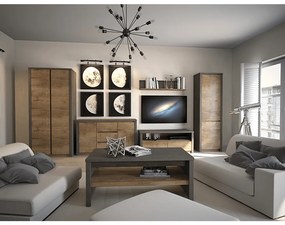 Dulap cu doua usi, stejar lefkas inchis/gri, MONTANA S2D