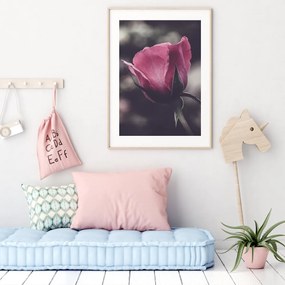 Poster - Floarea de trandafir (A4)