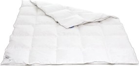 Pilotă Feeling 50 180x200 cm - Puf de gâscă 50%, pană mică de gâscă 50%, 250g/mp