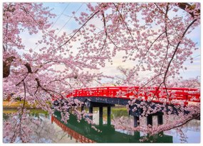Tablou pe sticlă - Hirosaki, Japonia (70x50 cm)