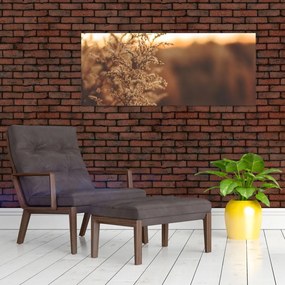 Tablou - Iarba înflorită (120x50 cm)