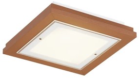 Argon 1867 - Plafonieră TABOR 4xE27/15W/230V 42x42 cm teracotă