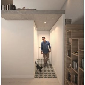 Philips  50393/11/P0 - SET 3xLED Lampă dimmabilă SHELLBARK LED/4,5W/230V