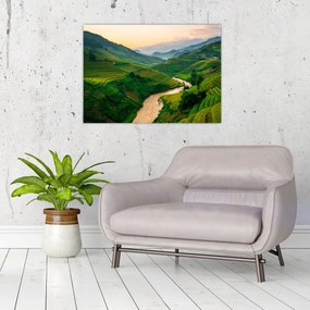 Tablou pe sticlă - Terase de orez II. (70x50 cm)