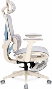 DeluxStar YX-977 NEXOR PRO MESH – Scaun Ergonomic cu Suport Lombar 3D, Tetieră 3D, Cotiere 4D, Șezut Glisant, Înclinare 140°, Suport pentru Picioare, Mesh, Gri