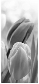Fotojaluzele R012127R57150 (57x150 cm)