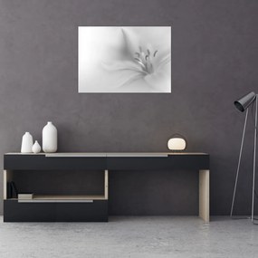 Tablou pe sticlă - Crin delicat (70x50 cm)