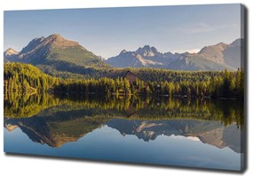 Tablou pe pânză canvas Panorama tatry