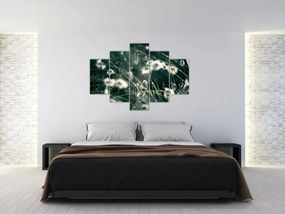 Tablou - Pânză de păianjen (150x105 cm)