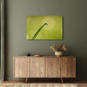 Tablou cu picătură de apă pe iarbă (90x60 cm)