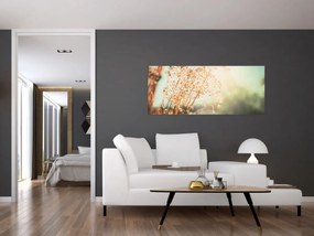 Tablou - Plante după ploaie (120x50 cm)