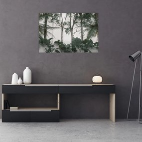 Tablou - Jungla în ceața dimineții (90x60 cm)