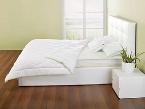 3xDORMEO PILOTĂ DUBLĂ ALOE VERA 200X200