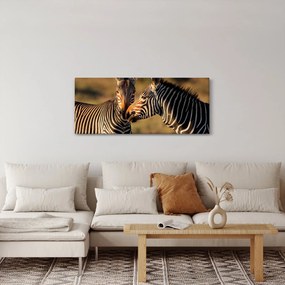Tablou - Două zebre (120x50 cm)